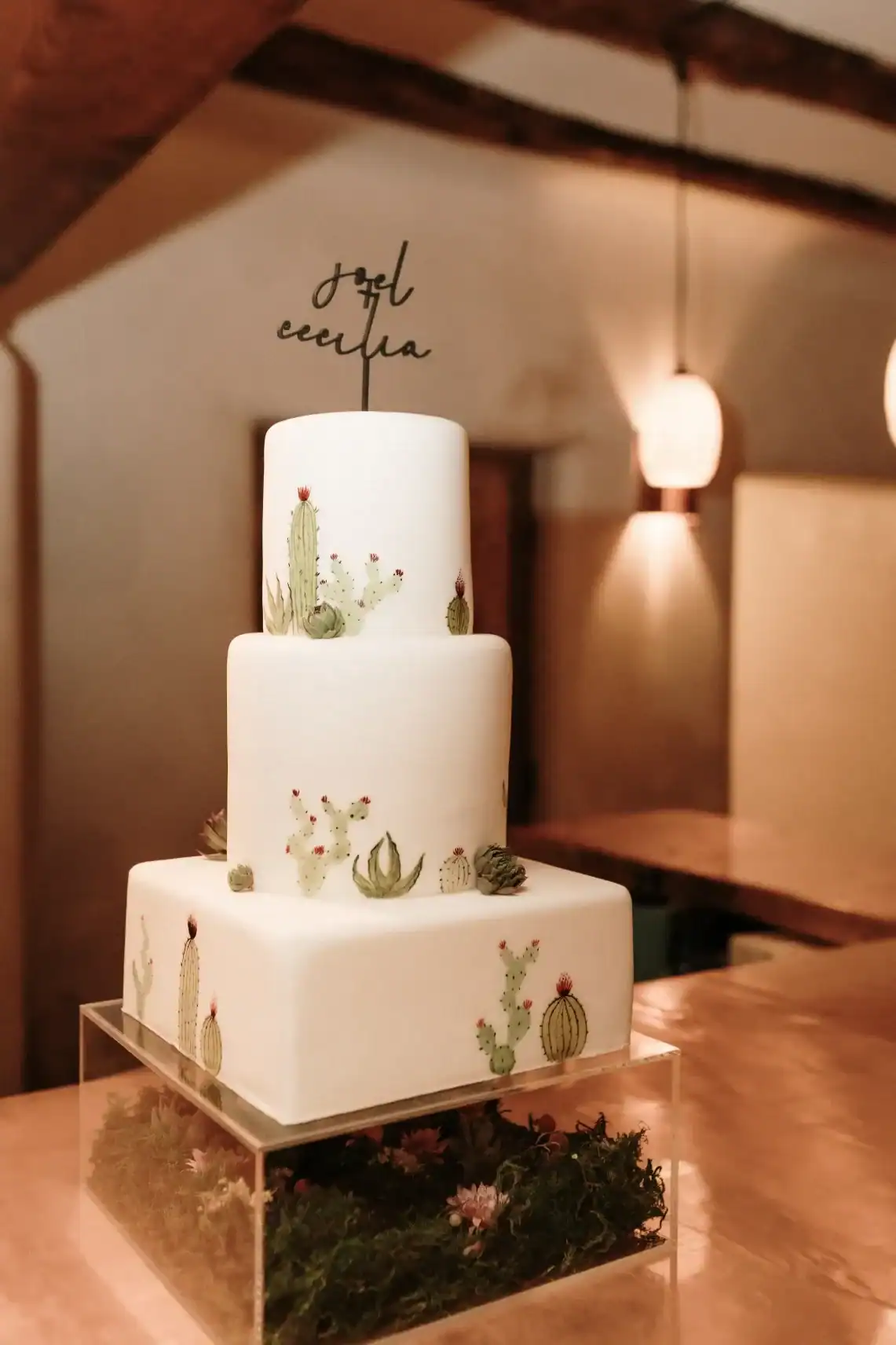 CC + Joel - Elizabeth Wells Photography 1 CC + Joel Elizabeth Wells Photography