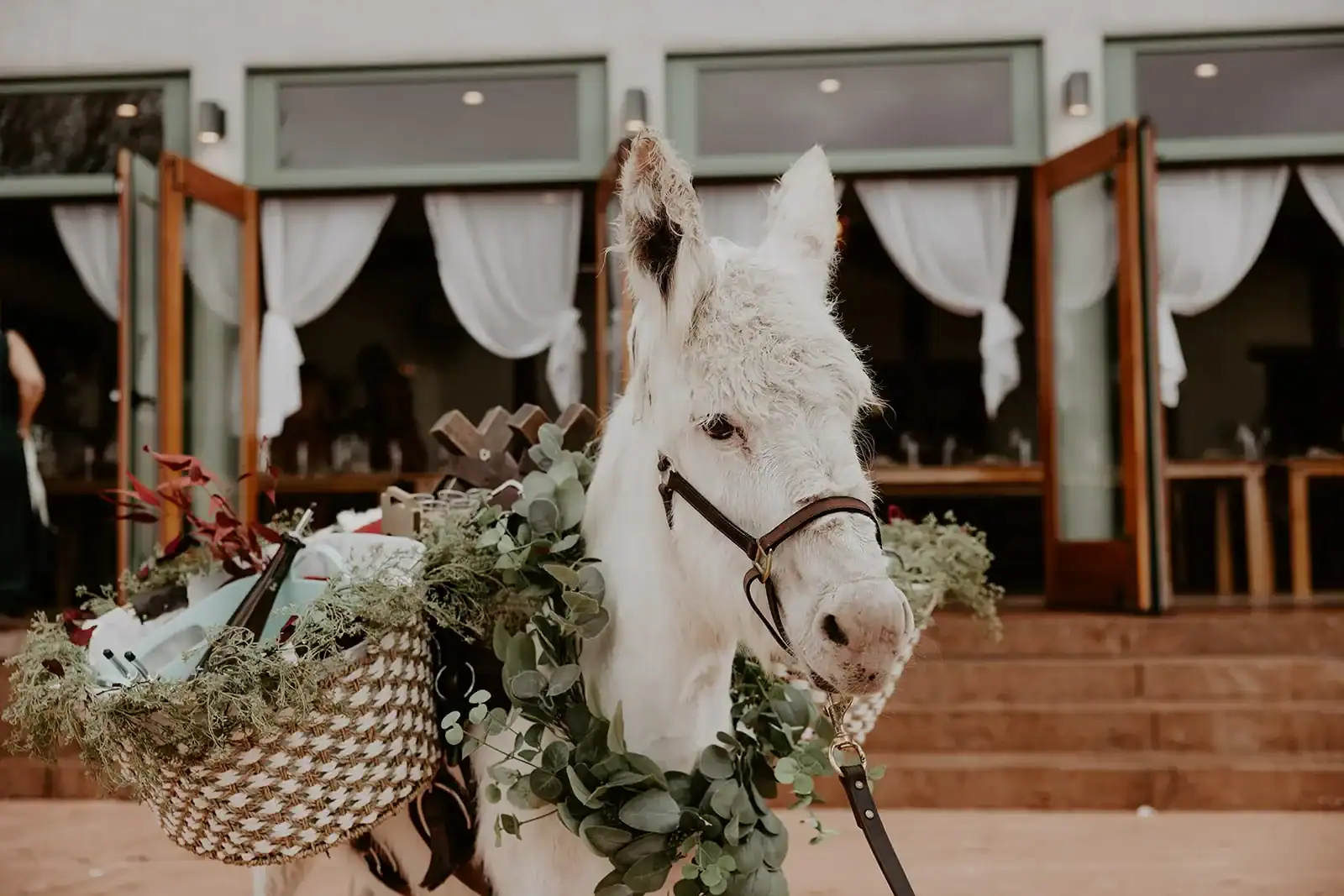 mitch + sara - suroeste by frankie gomez 5 mitch + sara suroeste by frankie gomez